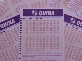 Quina 6386