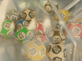 Loteria dos Sonhos de Hoje 21-04-2025