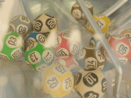 Loteria dos Sonhos de Hoje 26-04-2025