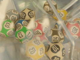 Loteria dos Sonhos de Hoje 30-05-2025