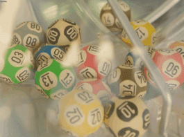Loteria dos Sonhos de Hoje 10-06-2025
