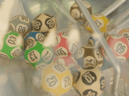 Loteria dos Sonhos de Hoje 23-06-2025
