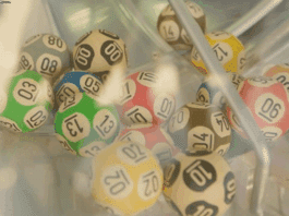 Loteria dos Sonhos de Hoje 23-10-2025