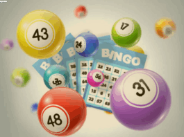 Loteria dos Sonhos de Hoje 01-11-2025