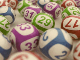 Loteria dos Sonhos de Hoje 07-11-2025